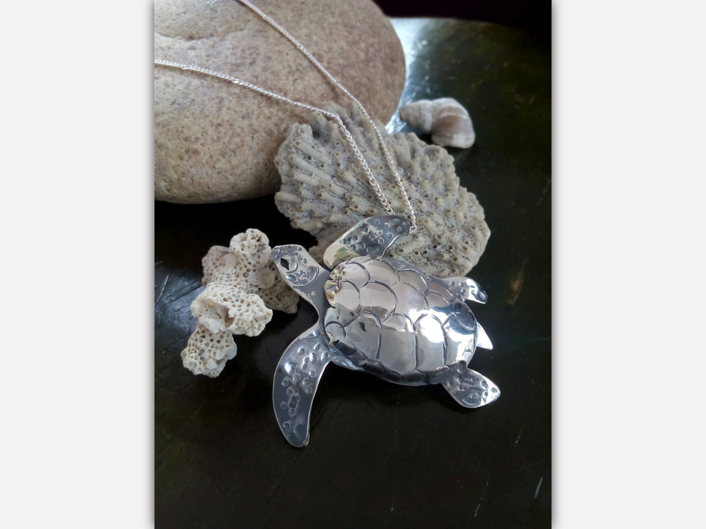 Tortuga (Dedicada a mi Papá)