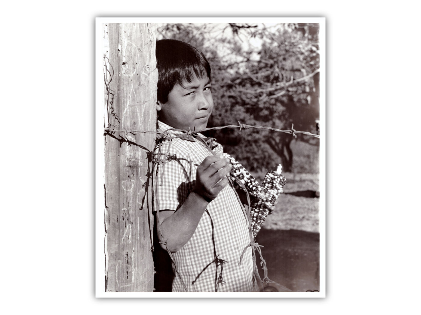 Un descanso para Daniel