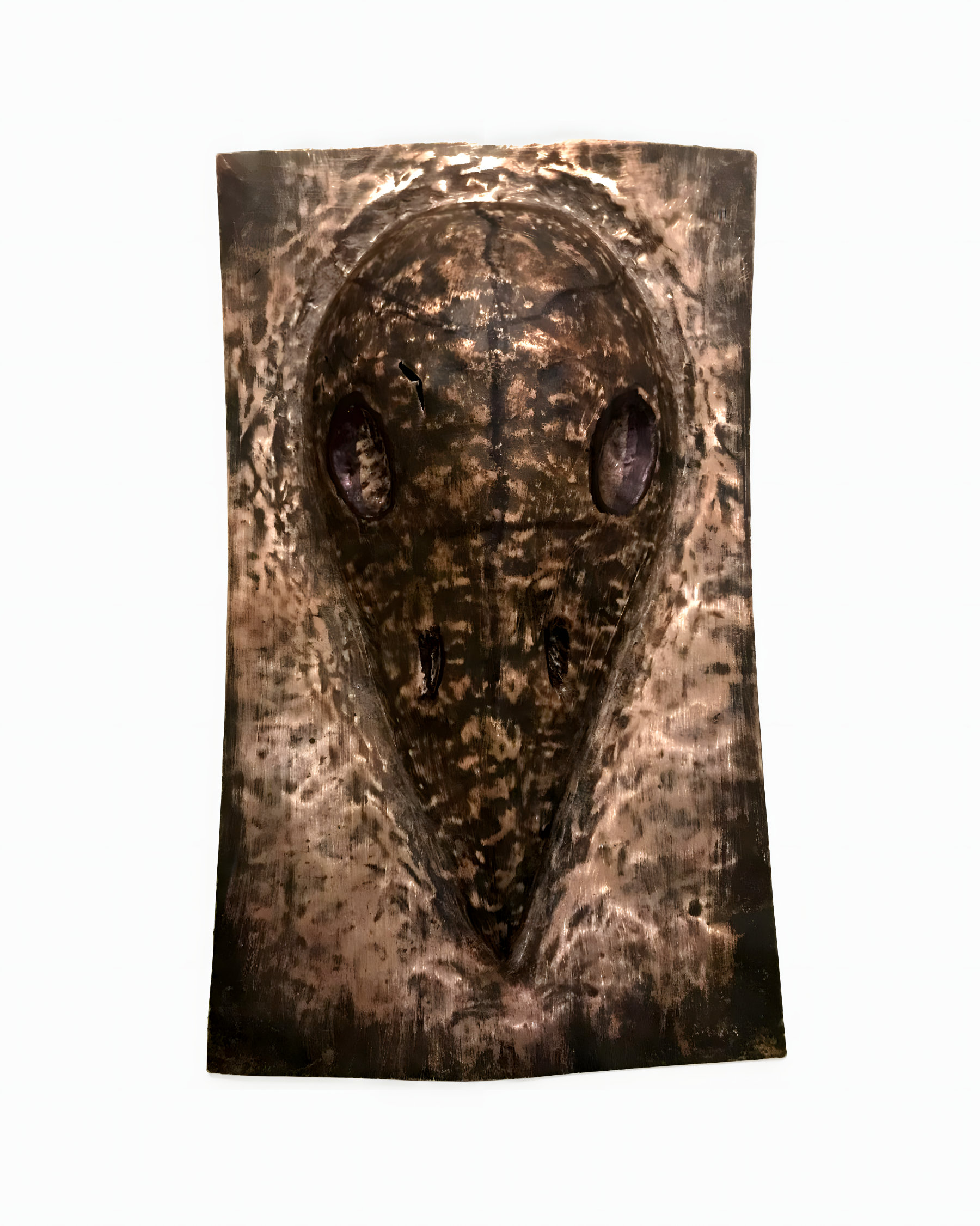 Estudio de cráneo de ave