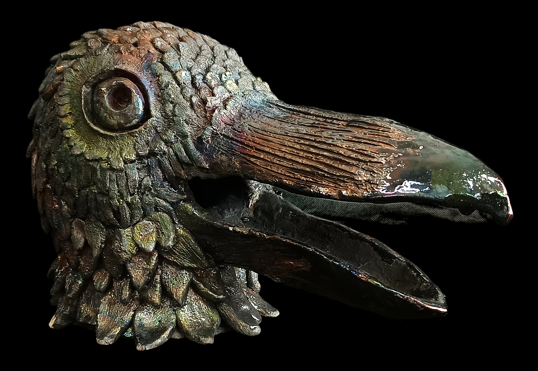 Cuervo: Ave en Crisis