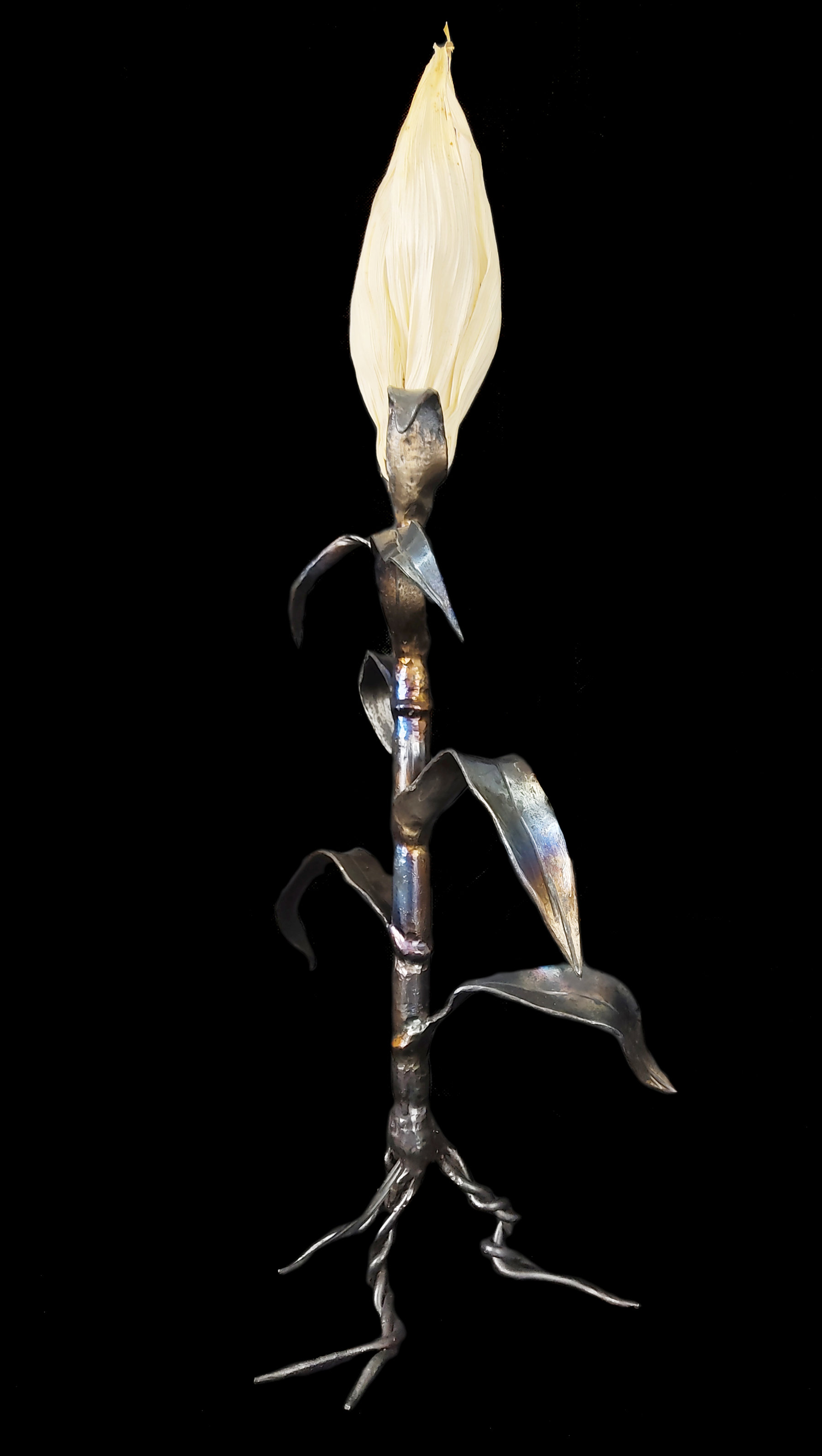 Cuando se van las Luciérnagas Llegas Tú