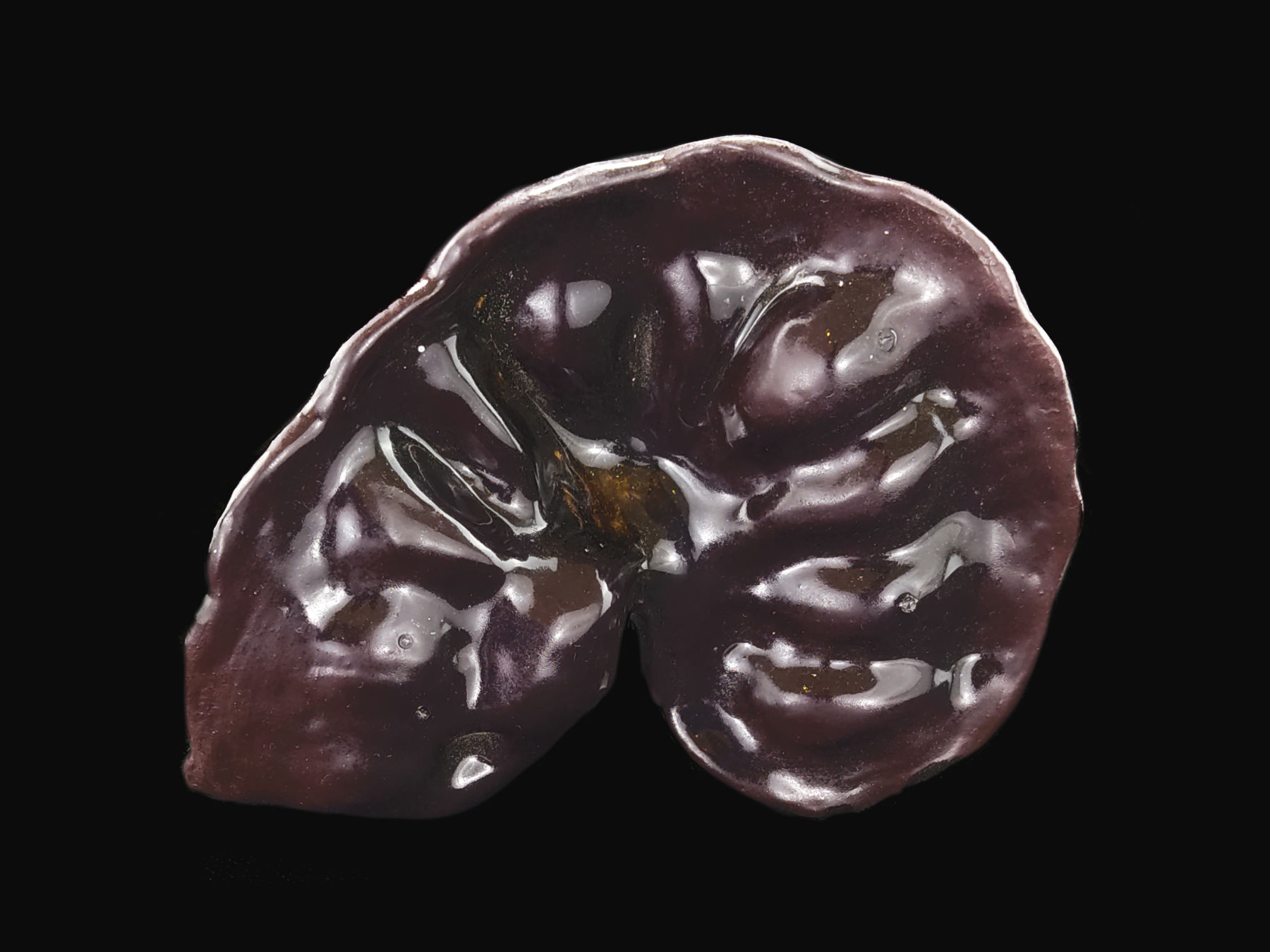 Semillas de Huanacaxtle (Sonaja / Escultura)