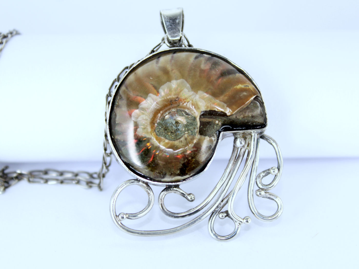 Nautilus